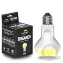 Terrario Bogande Basking Sun Light - żarówka grzewcza 25W