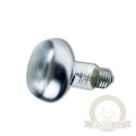 Zoomed Repti Basking Spot Lamp 40W - żarówka grzewcza punktowa 2 sztuki