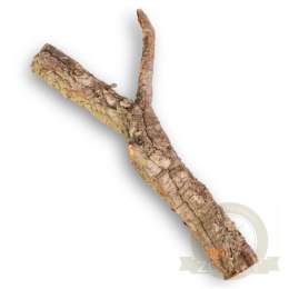 Drzewko z Dębu korkowego 30cm