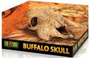 EXO TERRA Buffalo Skull (czaszka bawoła)