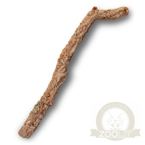 Gałąź z Dębu korkowego 40cm Gałąź z Dębu korkowego 40cm