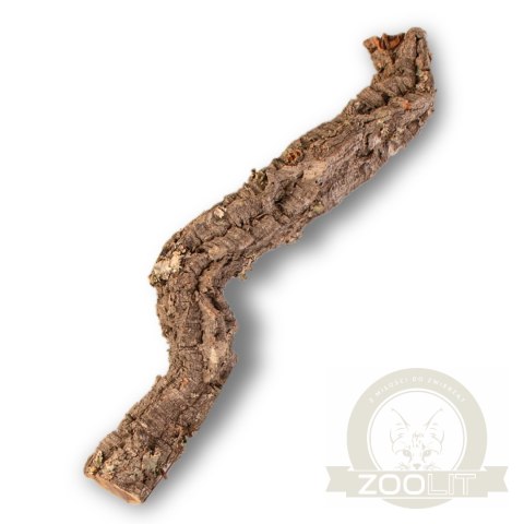 Gałąź z Dębu korkowego 40cm Gałąź z Dębu korkowego 40cm