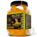 Komodo Jelly Pot Orange - pokarm pomarańcza w żelu