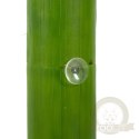 Repti-Zoo DF02 Bamboo - Fontanna dla kameleonów i gekonów
