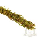 Repti-Zoo Liana z naturalnym mchem 2cm x 2m