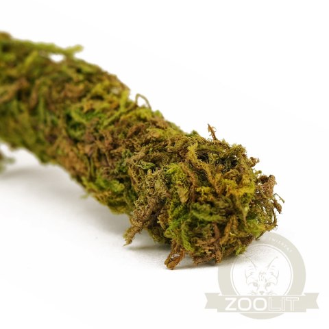 Repti-Zoo Liana z naturalnym mchem 2cm x 2m Repti-Zoo Liana z naturalnym mchem 2cm x 2m