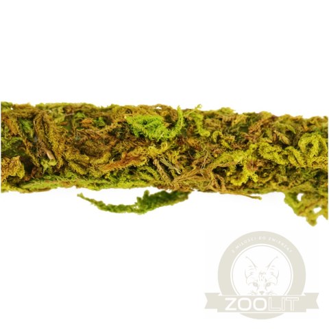 Repti-Zoo Liana z naturalnym mchem 2cm x 2m Repti-Zoo Liana z naturalnym mchem 2cm x 2m