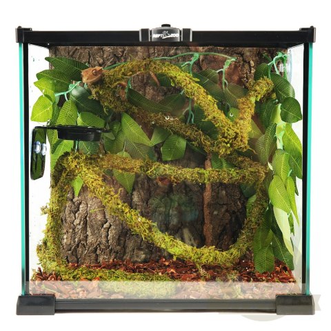 Repti-Zoo Liana z naturalnym mchem 2cm x 2m Repti-Zoo Liana z naturalnym mchem 2cm x 2m