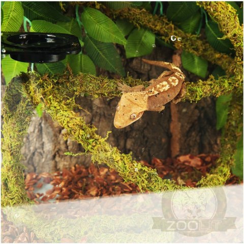 Repti-Zoo Liana z naturalnym mchem 2cm x 2m Repti-Zoo Liana z naturalnym mchem 2cm x 2m