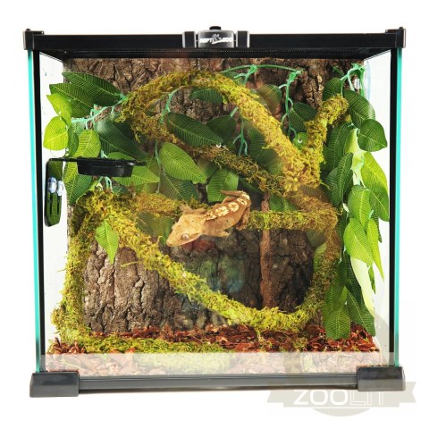 Repti-Zoo Liana z naturalnym mchem 2cm x 2m Repti-Zoo Liana z naturalnym mchem 2cm x 2m