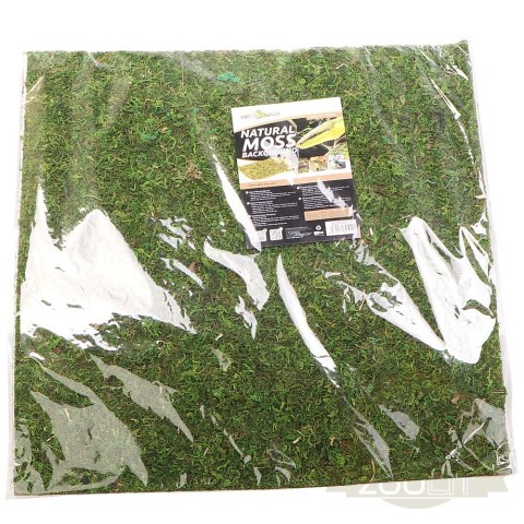 Repti-Zoo Natural Moss Back&Bottom - tło i podłoże z mchu 45x45cm Repti-Zoo Natural Moss Back&Bottom - tło i podłoże z mchu 45x45cm