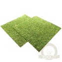 Repti-Zoo Natural Moss Back&Bottom - tło i podłoże z mchu 45x45cm