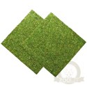 Repti-Zoo Natural Moss Back&Bottom - tło i podłoże z mchu 45x45cm
