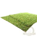 Repti-Zoo Natural Moss Back&Bottom - tło i podłoże z mchu 45x45cm