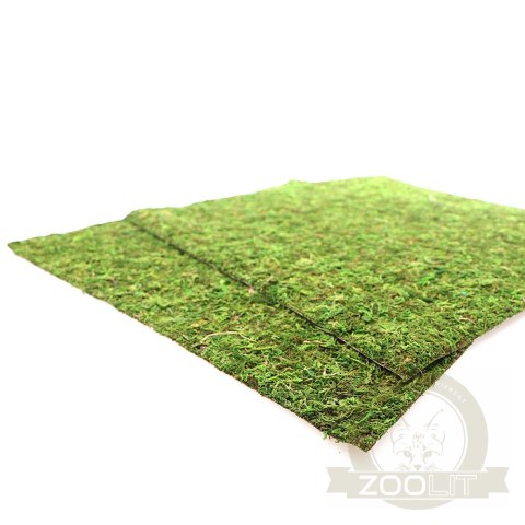 Repti-Zoo Natural Moss Back&Bottom - tło i podłoże z mchu 45x45cm Repti-Zoo Natural Moss Back&Bottom - tło i podłoże z mchu 45x45cm
