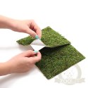 Repti-Zoo Natural Moss Back&Bottom - tło i podłoże z mchu 45x45cm