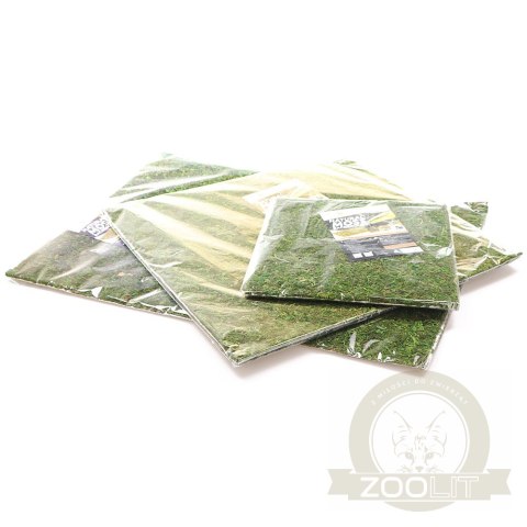 Repti-Zoo Natural Moss Back&Bottom - tło i podłoże z mchu 45x45cm Repti-Zoo Natural Moss Back&Bottom - tło i podłoże z mchu 45x45cm