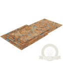 Repti-Zoo Sky Forest Background 20x30cm