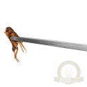 Terrario ViperTweez Simple XXL - pęseta prosta 48cm