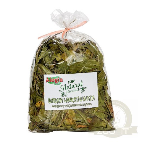 Alegia - Babka Lancetowata 100g Alegia - Babka Lancetowata 100g