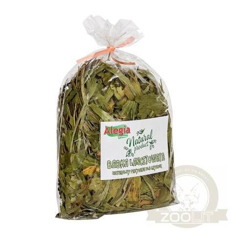 Alegia - Babka Lancetowata 100g Alegia - Babka Lancetowata 100g