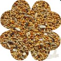 Alegia Enjoy pokarm dla papugi falistej 450g
