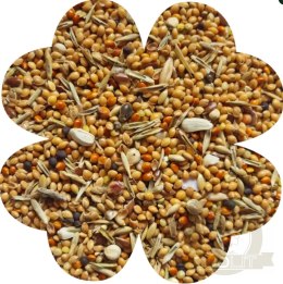 Alegia Enjoy pokarm dla papugi falistej 900g
