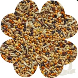 Alegia Enjoy pokarm dla zeberek i papużek egzotycznych 450g