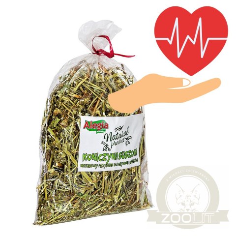 Alegia - koniczyna suszona 100g Alegia - koniczyna suszona 100g