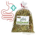 Alegia - koniczyna suszona 100g