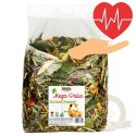 Alegia - mega paka z ziół dla świnki morskiej 650g