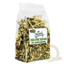 Alegia - zielone ziółka dla Świnki Morskiej 100g
