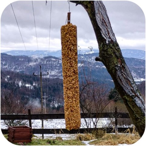 Gami Kolba XXL z robakami 400g - pokarm dla ptaków dzikich