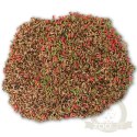 Gami karma dla kanarka 500g