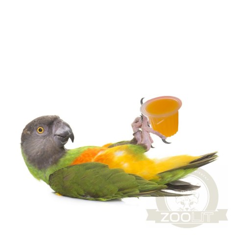 HappyPet Tweeter's Treats Fruity Jelly Pots 60 sztuk - mix smaków HappyPet Tweeter's Treats Fruity Jelly Pots 60 sztuk - mix smaków