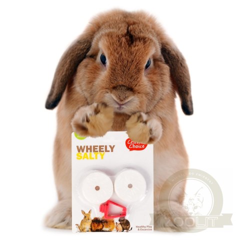 HappyPet Wheely Salty - sól z uchwytem dla gryzoni HappyPet Wheely Salty - sól z uchwytem dla gryzoni