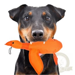 HappyPet Dazzle Ducks - piszcząca kaczka