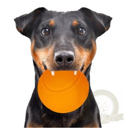 HappyPet Glow Balls - piszcząca piłka