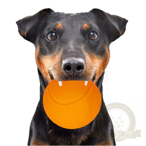 HappyPet Glow Balls - piszcząca piłka HappyPet Glow Balls - piszcząca piłka