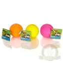 HappyPet Glow Balls - piszcząca piłka