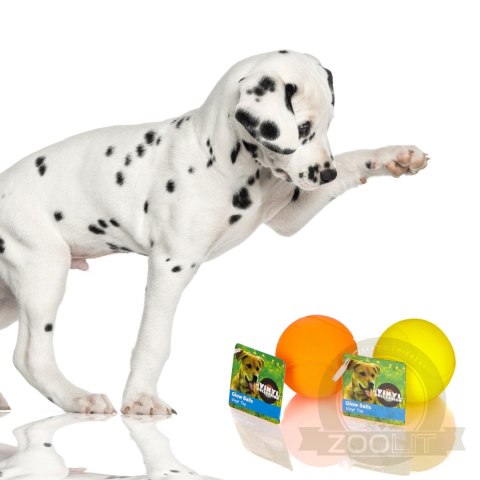 HappyPet Glow Balls - piszcząca piłka HappyPet Glow Balls - piszcząca piłka