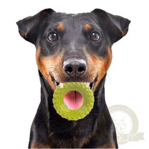 HappyPet Grrrelli Tyre S - gumowy gryzak HappyPet Grrrelli Tyre S - gumowy gryzak