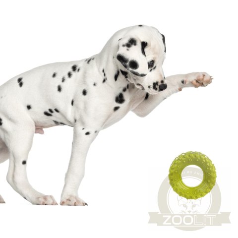 HappyPet Grrrelli Tyre S - gumowy gryzak HappyPet Grrrelli Tyre S - gumowy gryzak