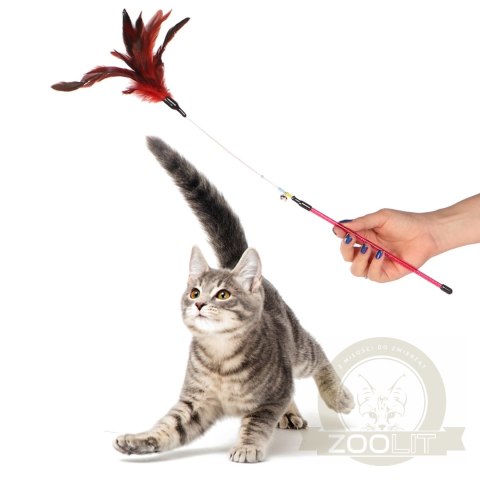 HappyPet Manhattan Cat Teaser - zabawka do wspólnej zabawy HappyPet Manhattan Cat Teaser - zabawka do wspólnej zabawy
