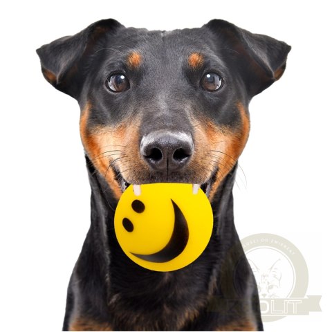 HappyPet Smiley Ball - uśmiechnięta piłeczka HappyPet Smiley Ball - uśmiechnięta piłeczka
