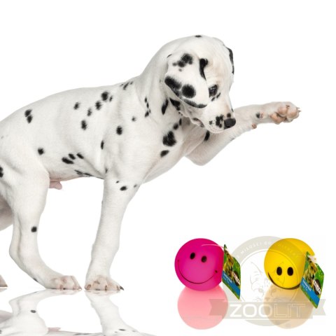 HappyPet Smiley Ball - uśmiechnięta piłeczka HappyPet Smiley Ball - uśmiechnięta piłeczka
