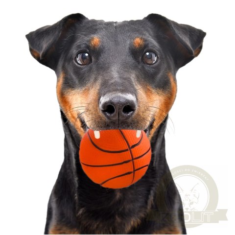 HappyPet Sports Balls - sprężysta piłka HappyPet Sports Balls - sprężysta piłka