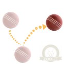 HappyPet Sports Balls - sprężysta piłka