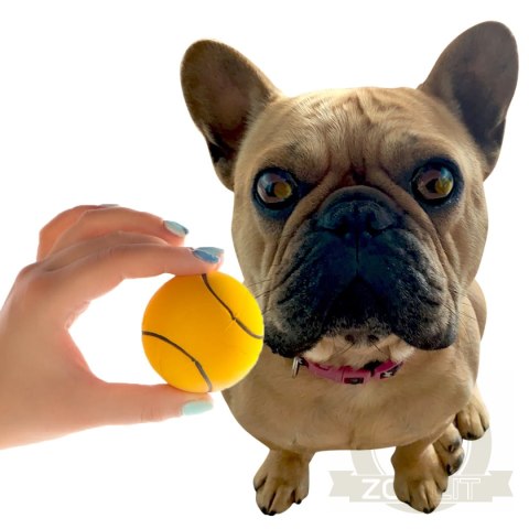 HappyPet Sports Balls - sprężysta piłka HappyPet Sports Balls - sprężysta piłka