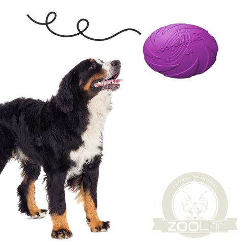 Pet Nova zabawka - dysk gumowy frisbee fioletowy 22cm Pet Nova zabawka - dysk gumowy frisbee fioletowy 22cm